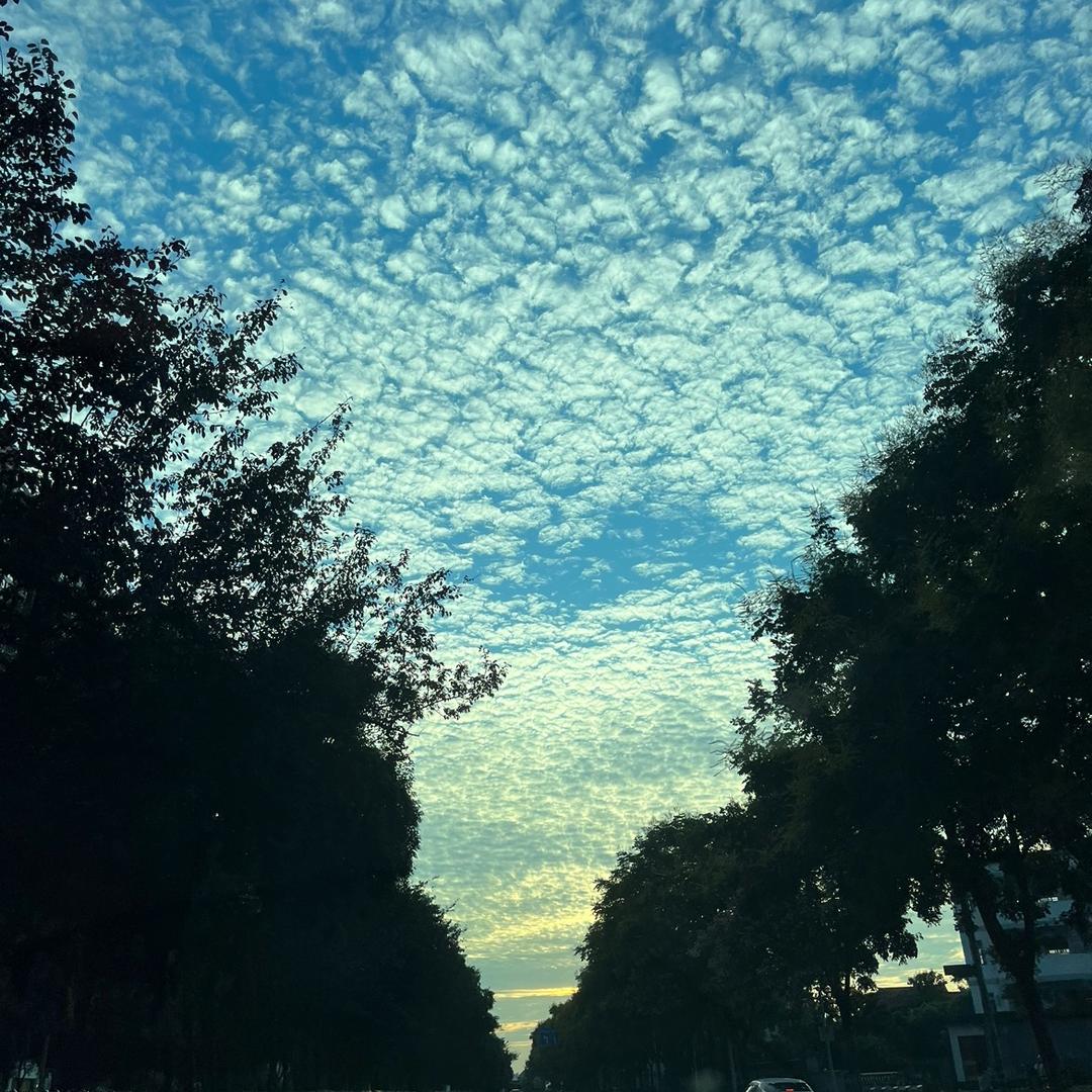 空空如野
