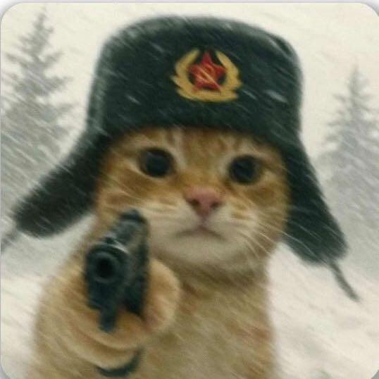 ⁵²⁷
