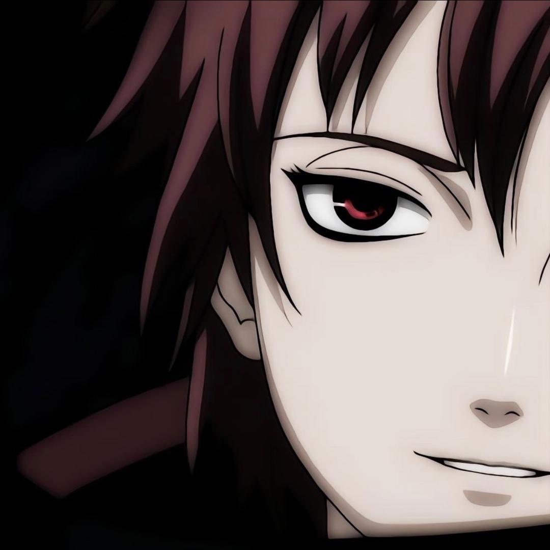 zed