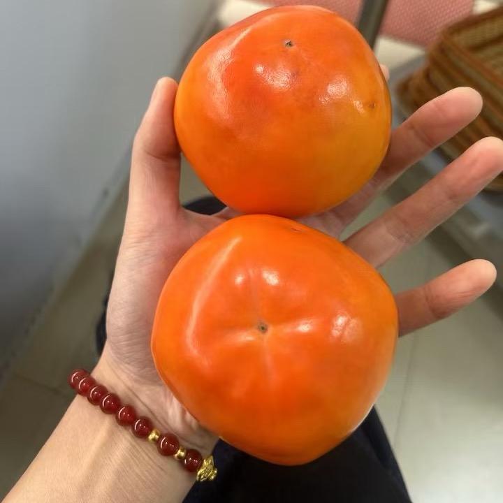 小黑裙