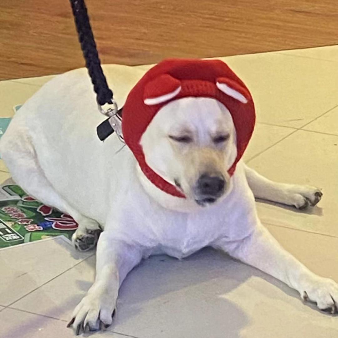 楽.