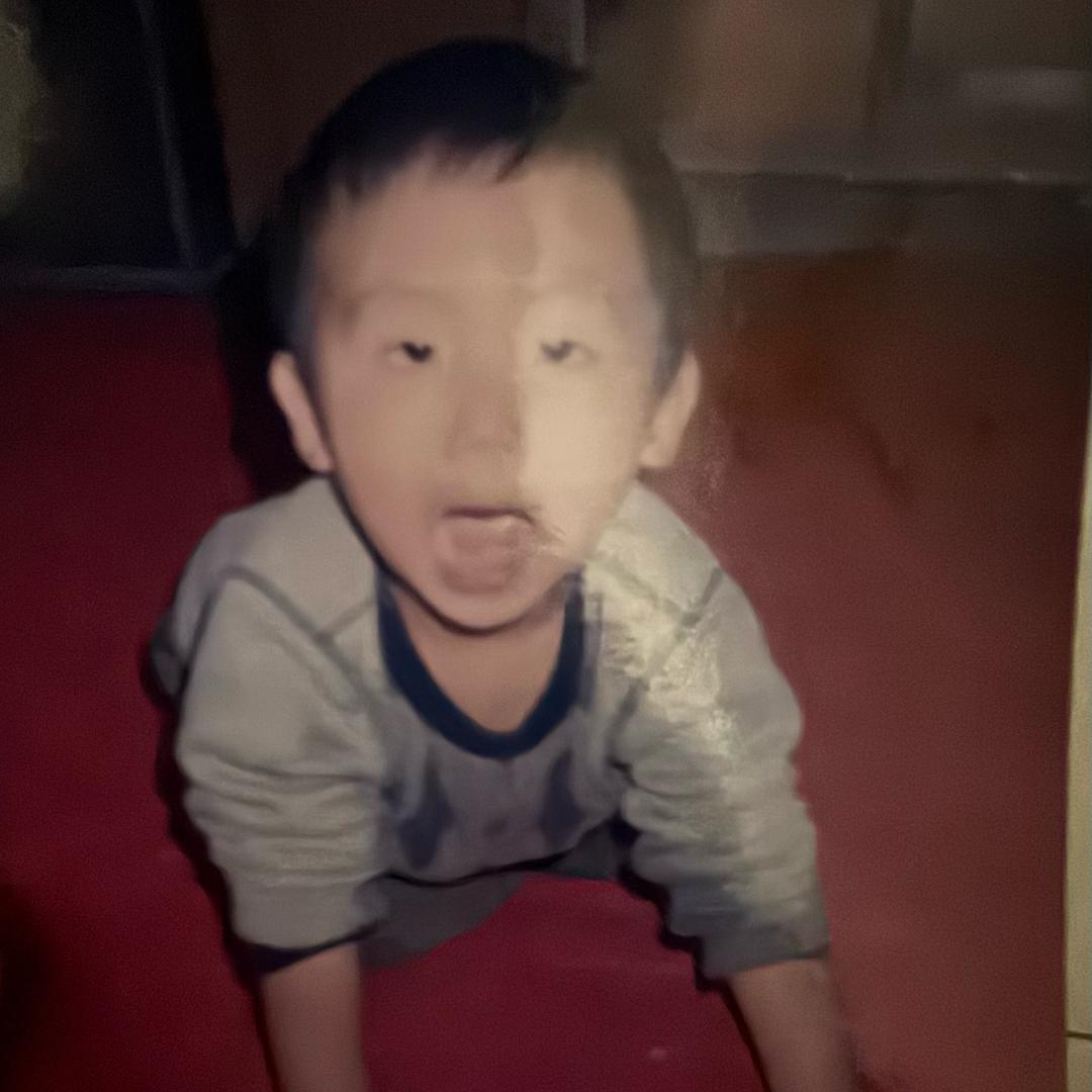 张树