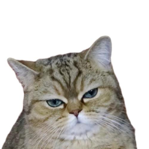 貘哥