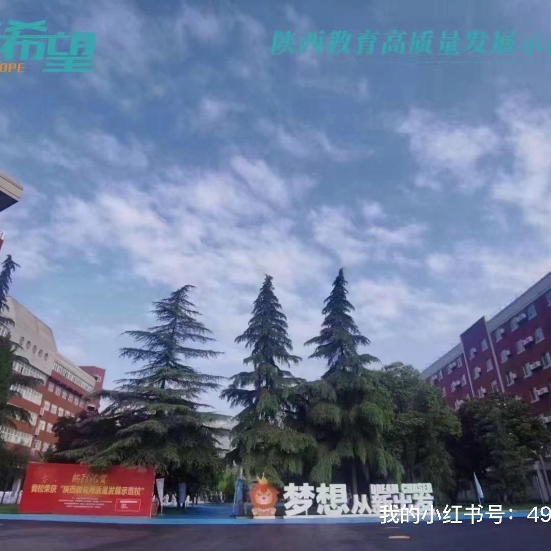 中高考规划师范范老师