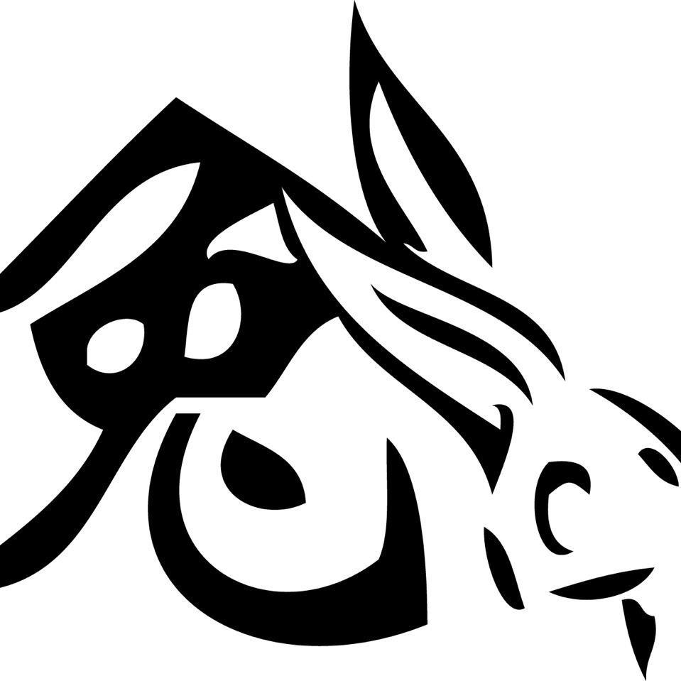 兔🐰