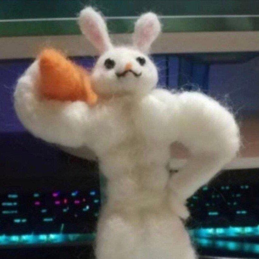 阿肥