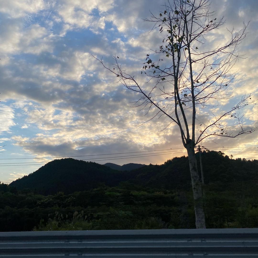 千年