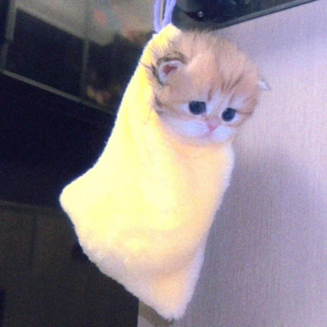 椰子水🥥
