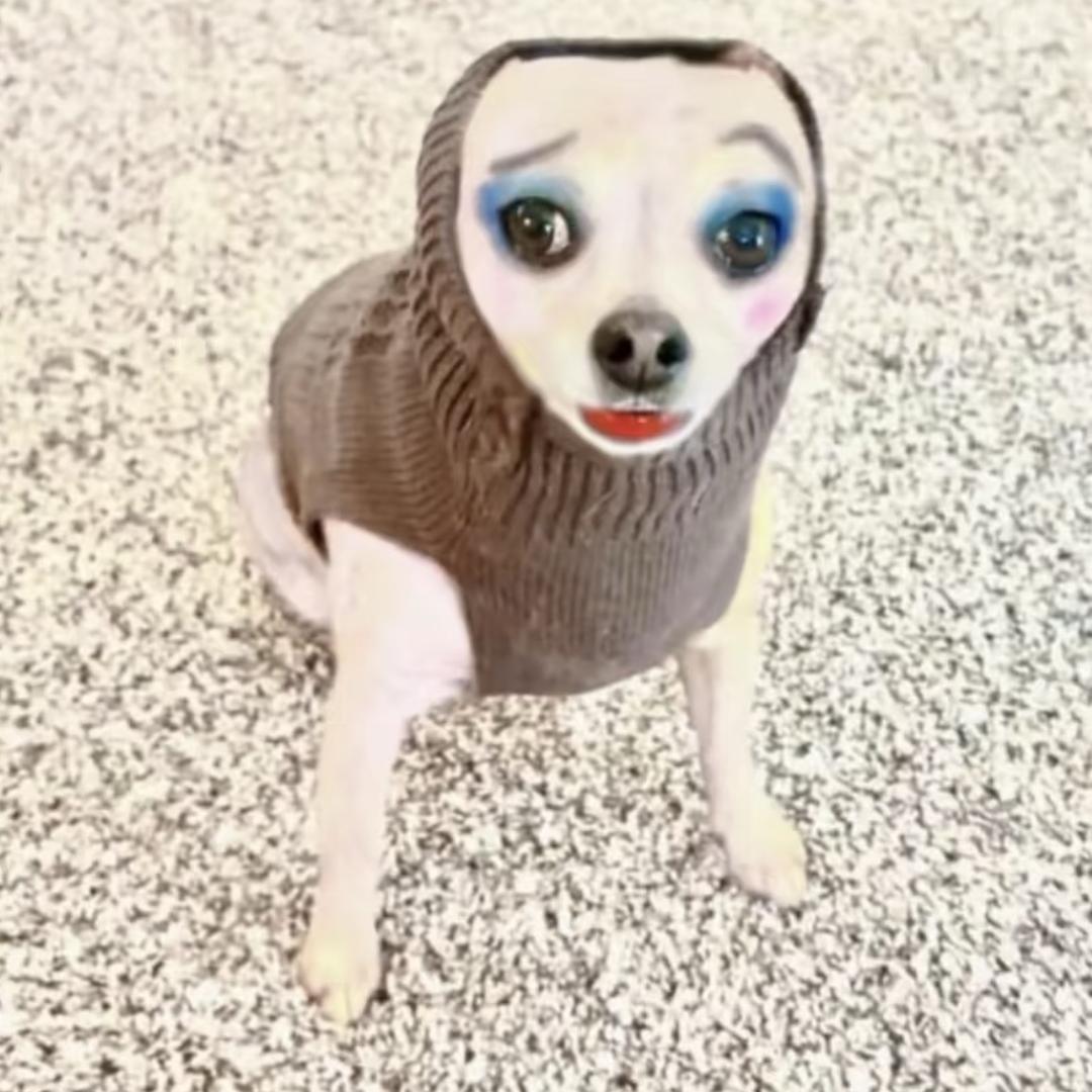 uu