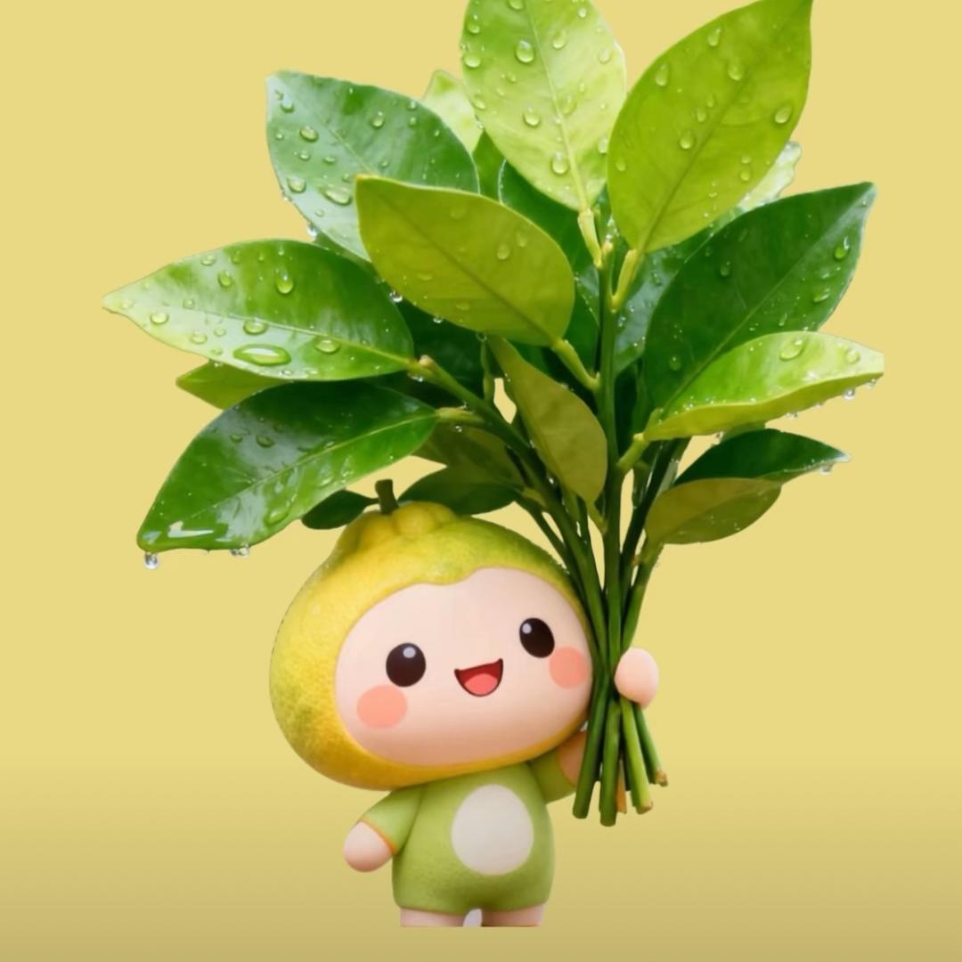 巩义礼物小相野菊花茶批发官方号