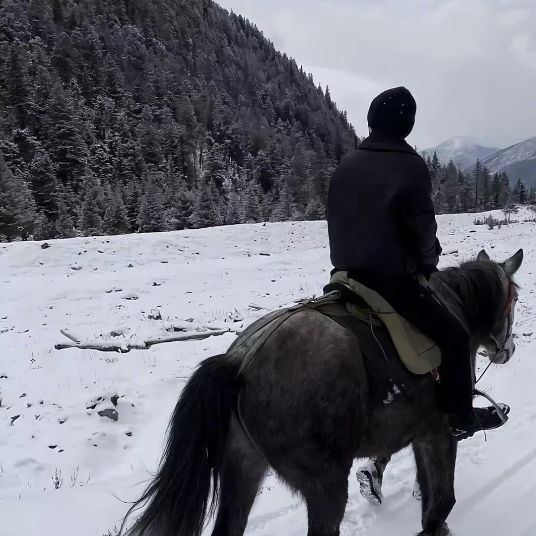 3.0电商阿诺（丰信文化）