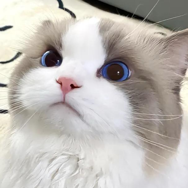 T--药药