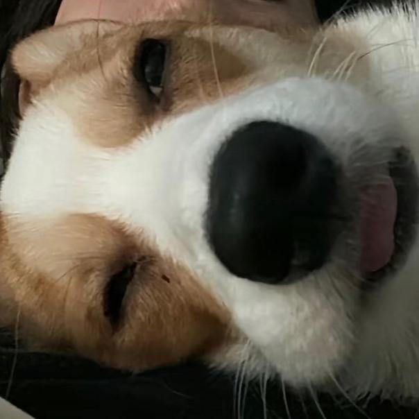 出众