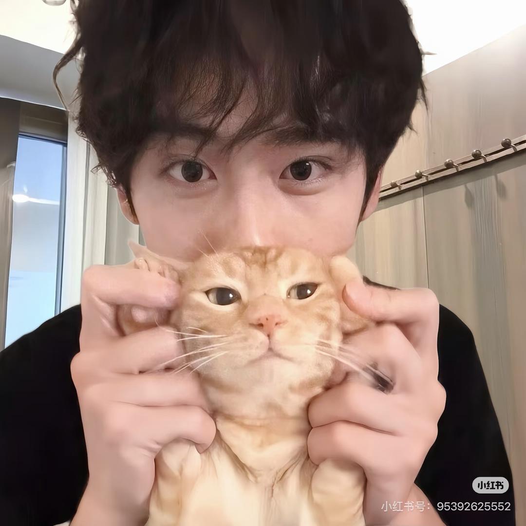 我爱吃鸡蛋灌饼🧊