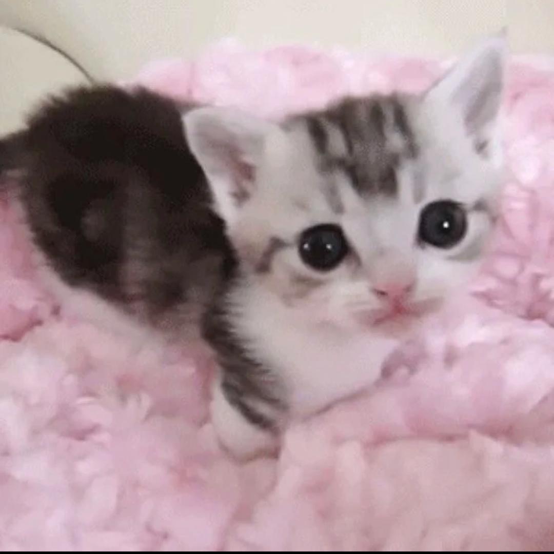 請不要讓我一個人