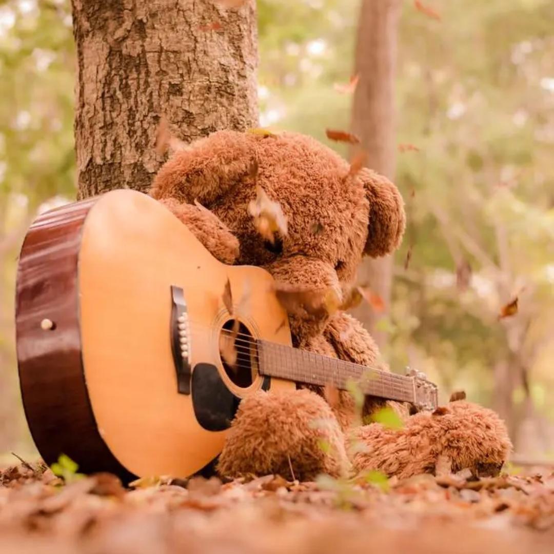 Bearsing520
