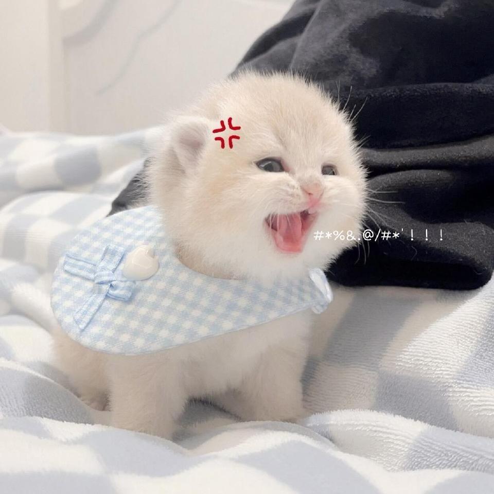 底线