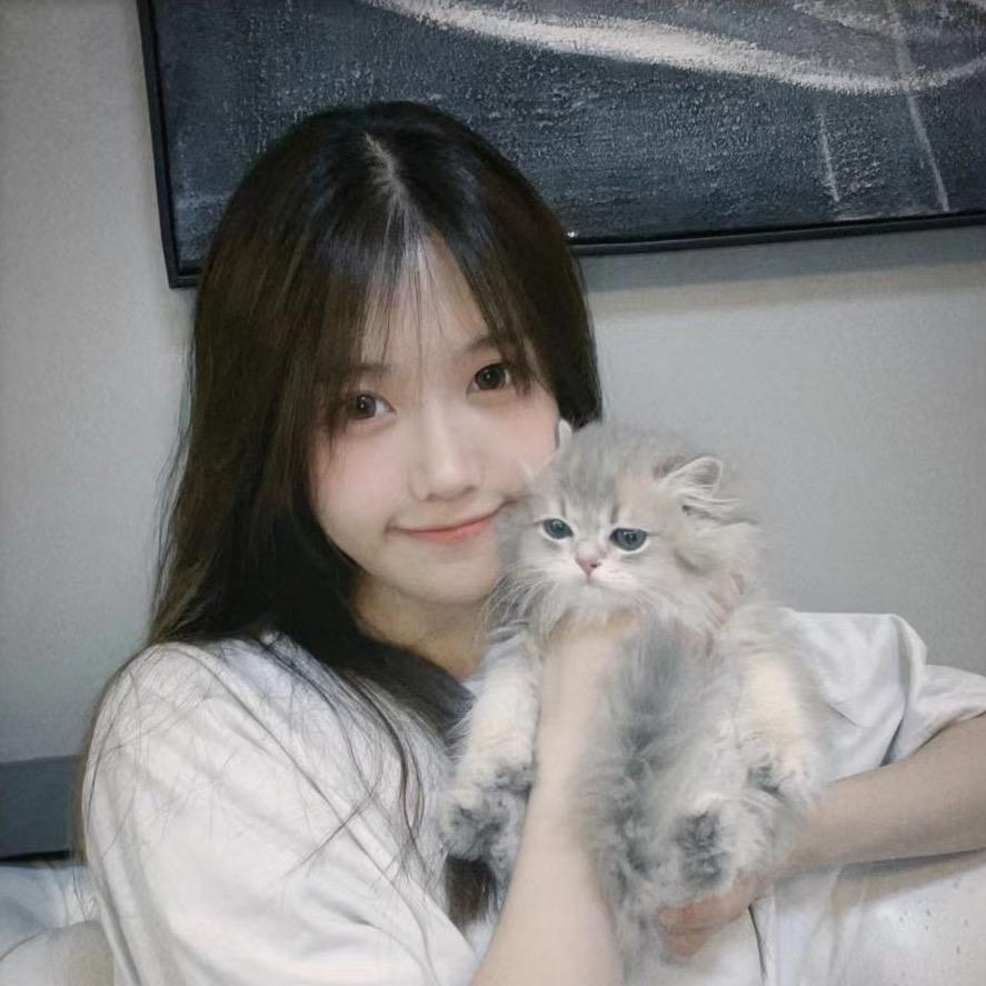 小狗狗七🐶