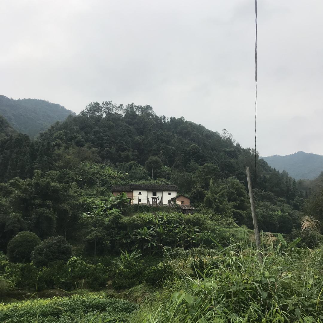 荔浦笑笑土特产