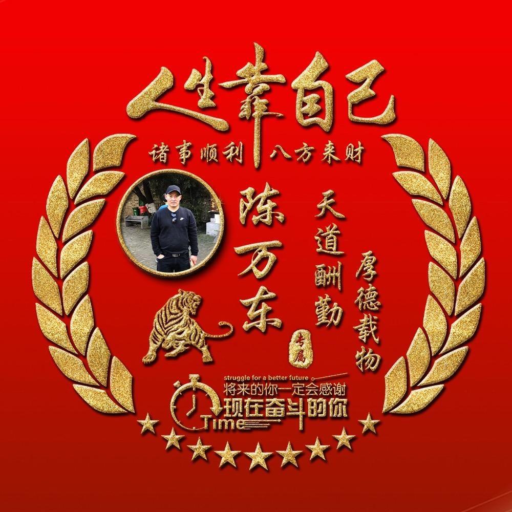 陈万东