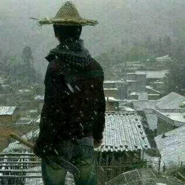 杨暖男@