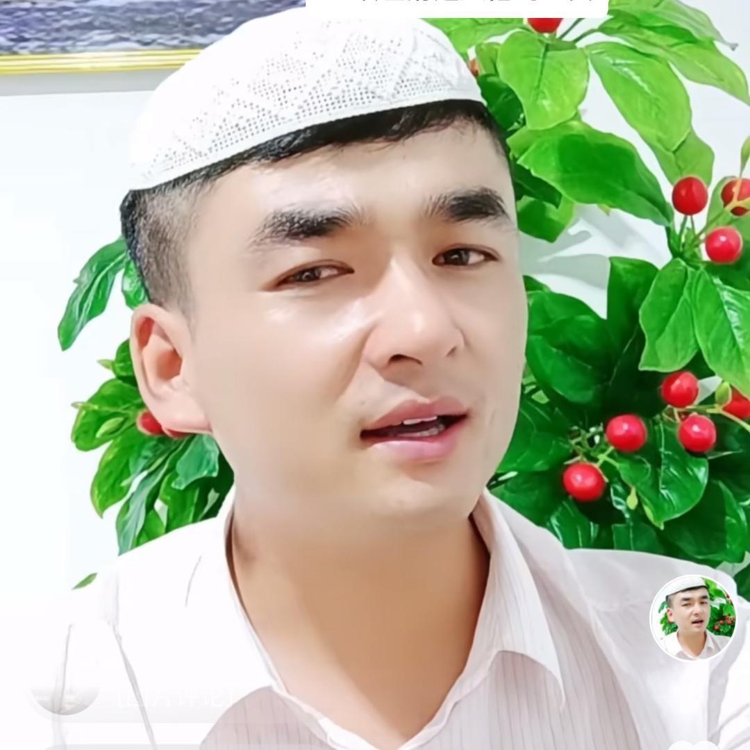 山城马总