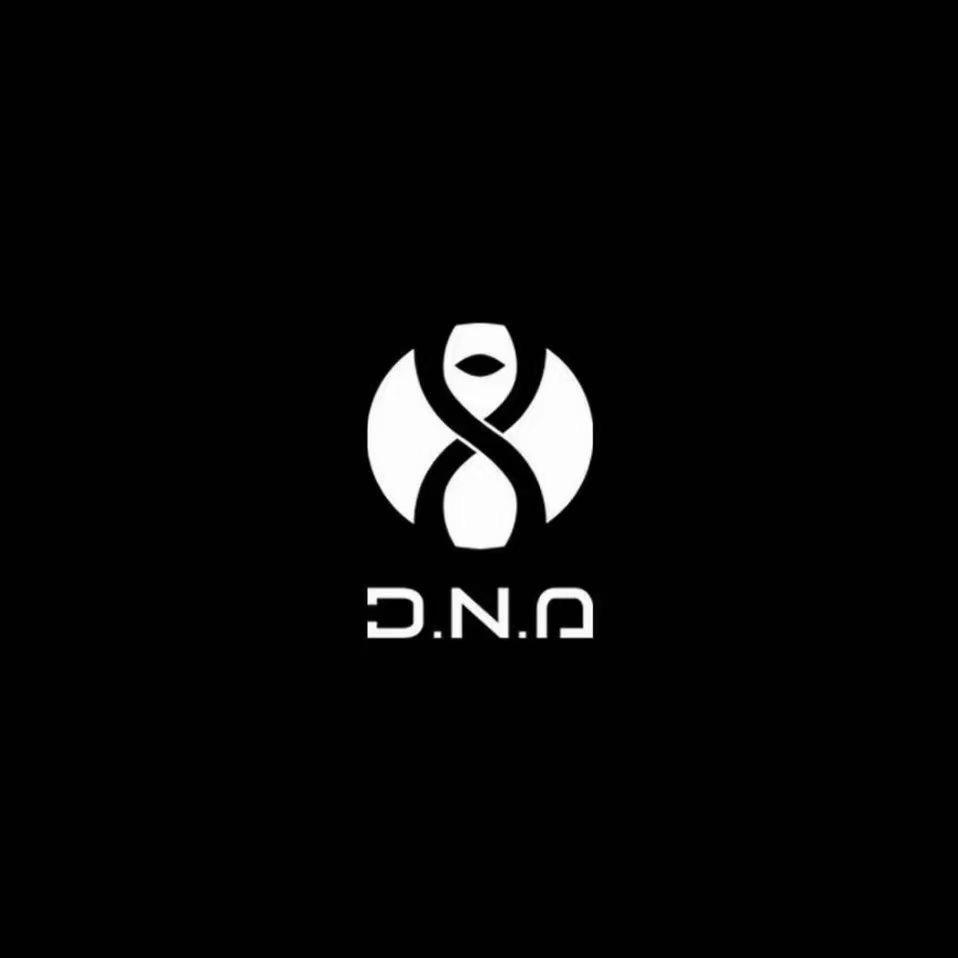 成都dna豆豆