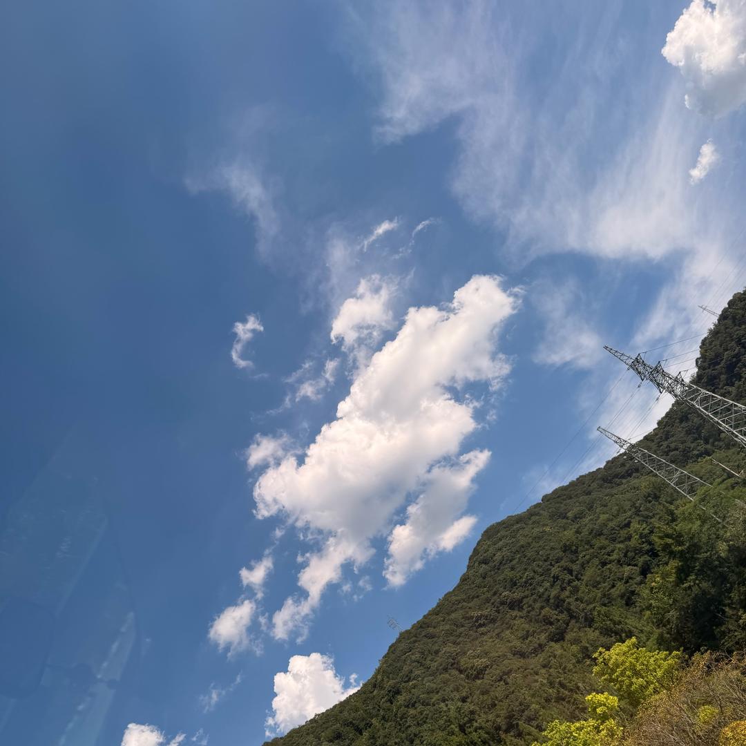 芜湖镜湖区杨主任