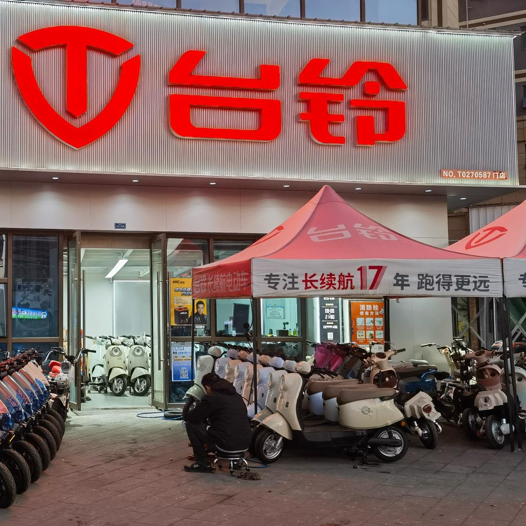 台铃电动车九峰店