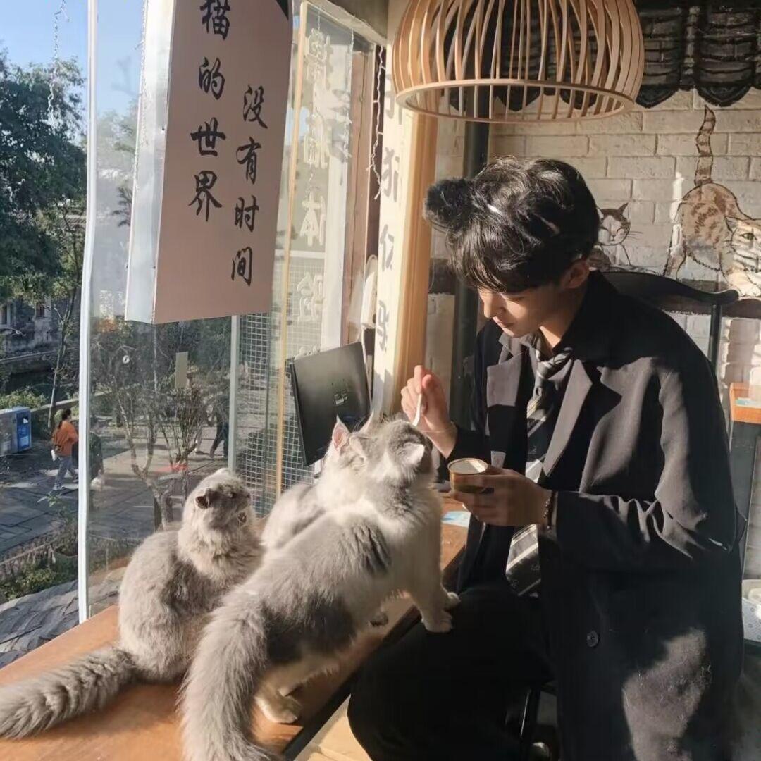 本色造物头像