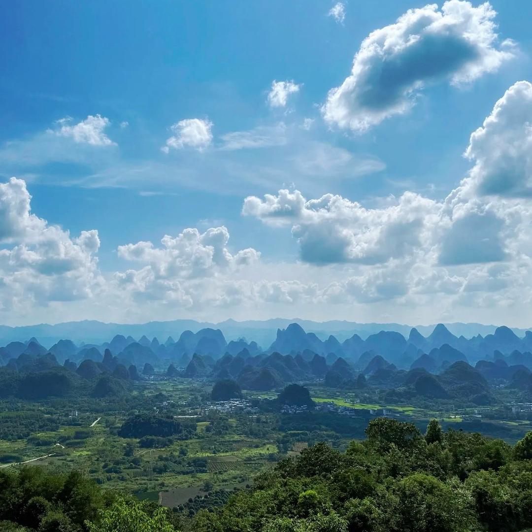 大山的山货