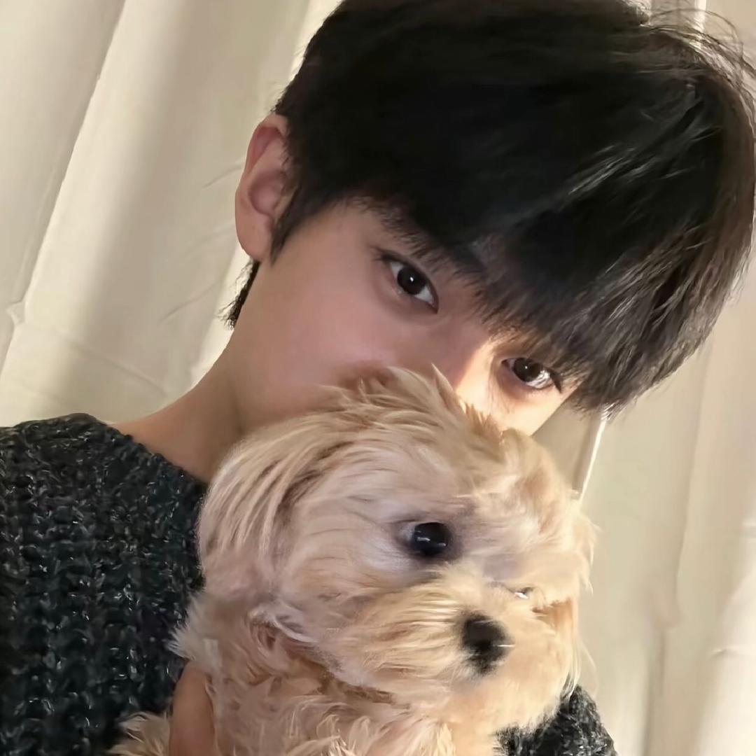 香附金鱼王