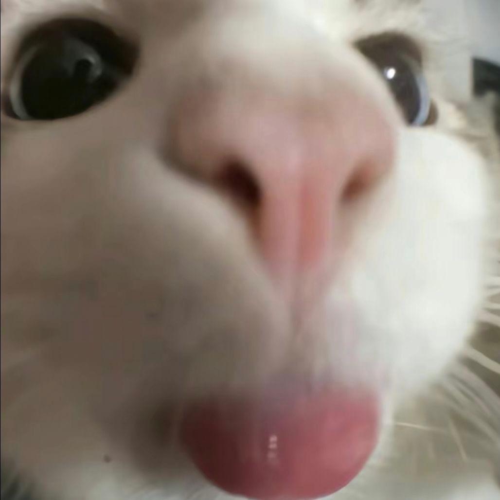 橘子汽水˶˃ ᵕ ˂˶
