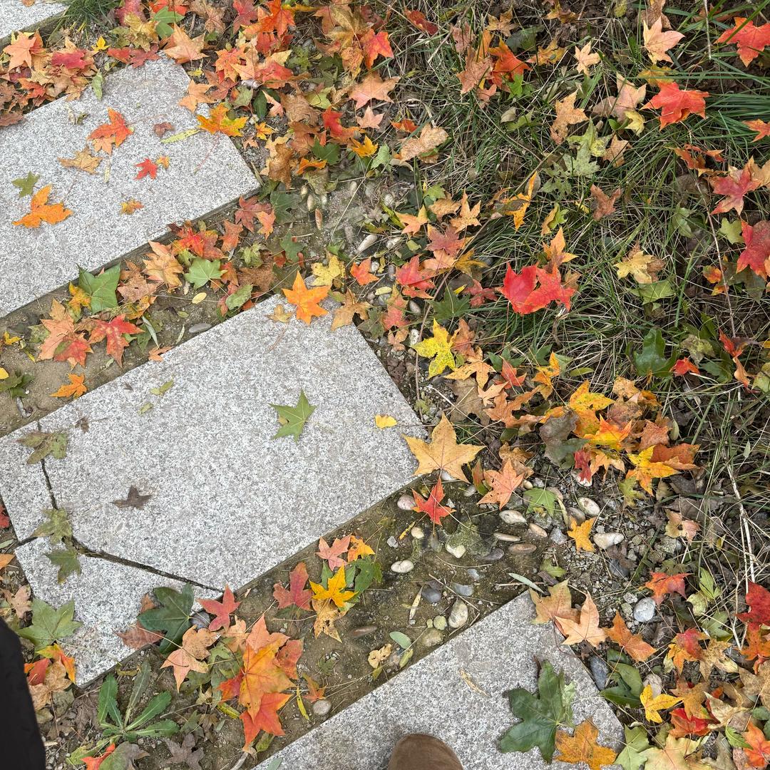 毛毛 星光海岸摩托艇