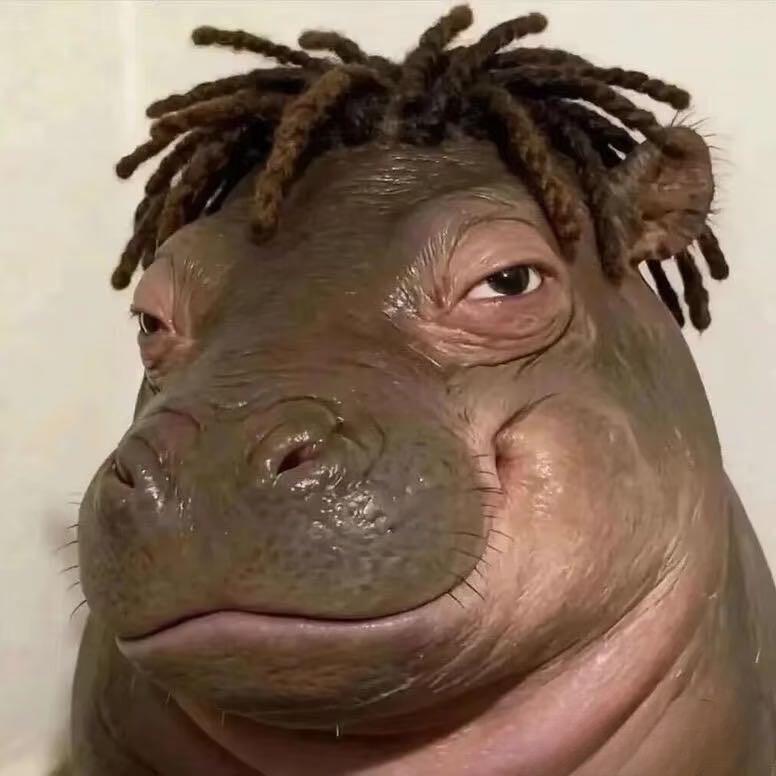 A1