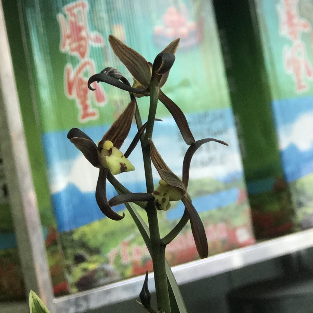 ☆℡Yan  珠❣️