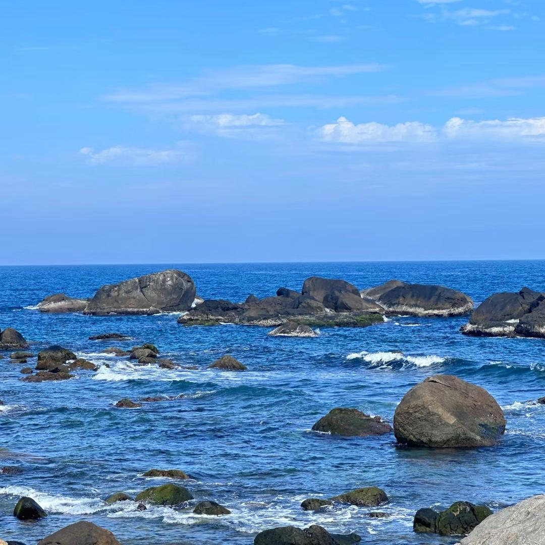 面朝大海