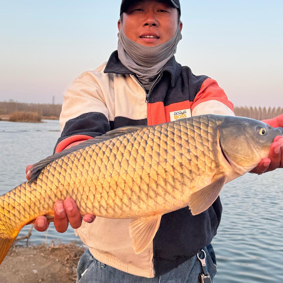 小王骗鱼上岸