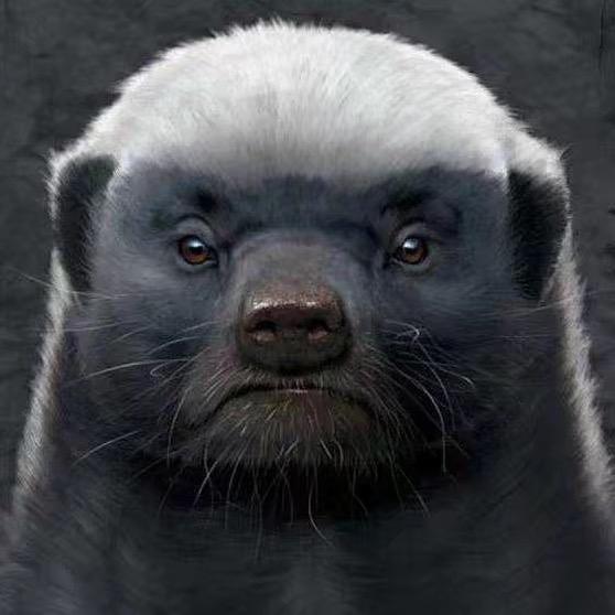 니크.P PPPPPPPPPPPPPP