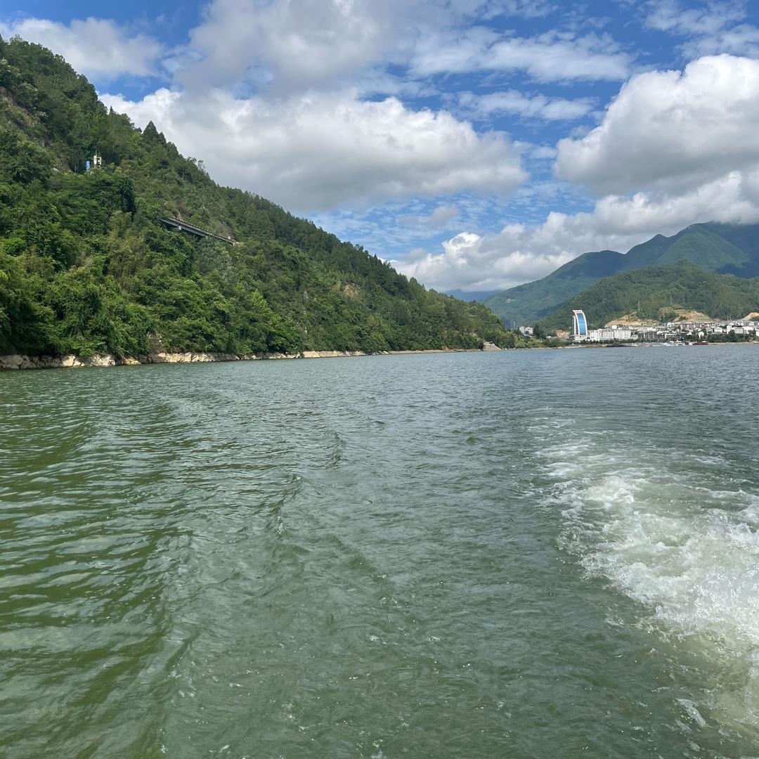 颖颖