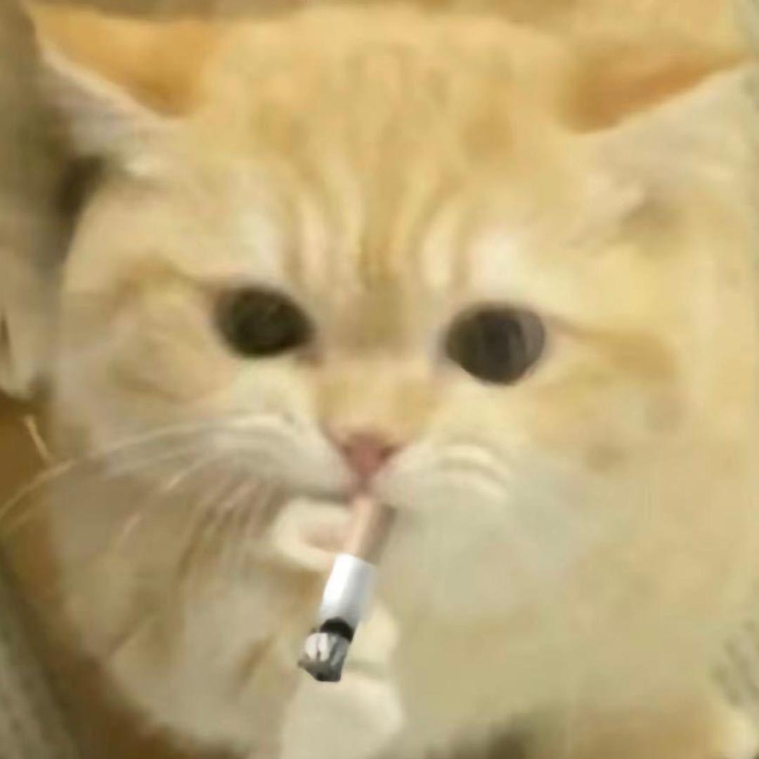 吃饭不用🥣