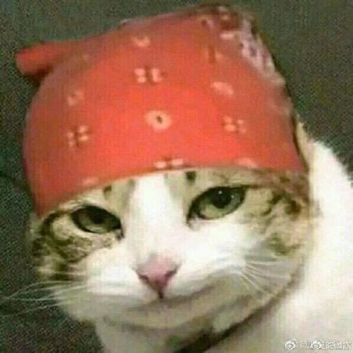 小声点，我刚睡醒