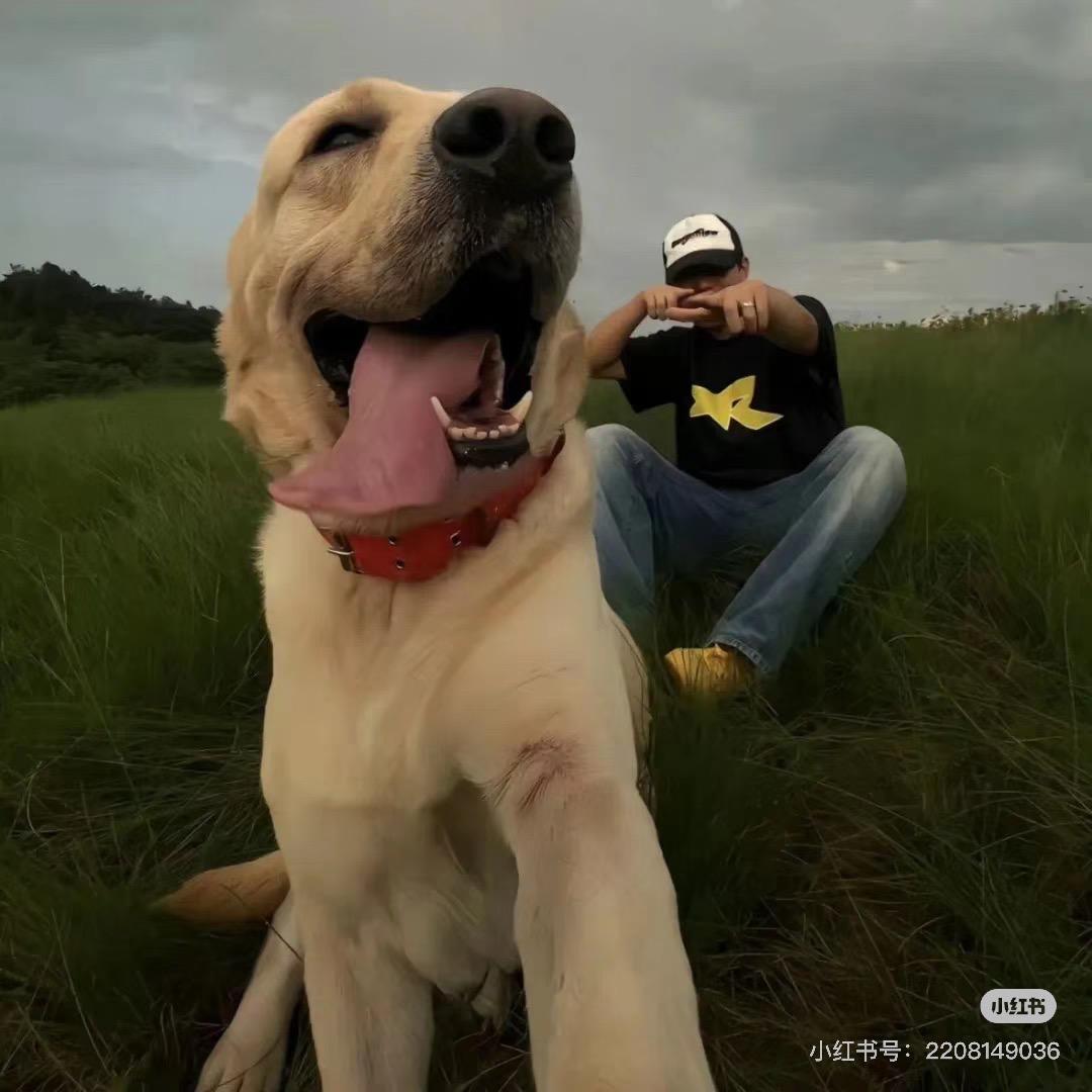 蜗爷吃芙拉