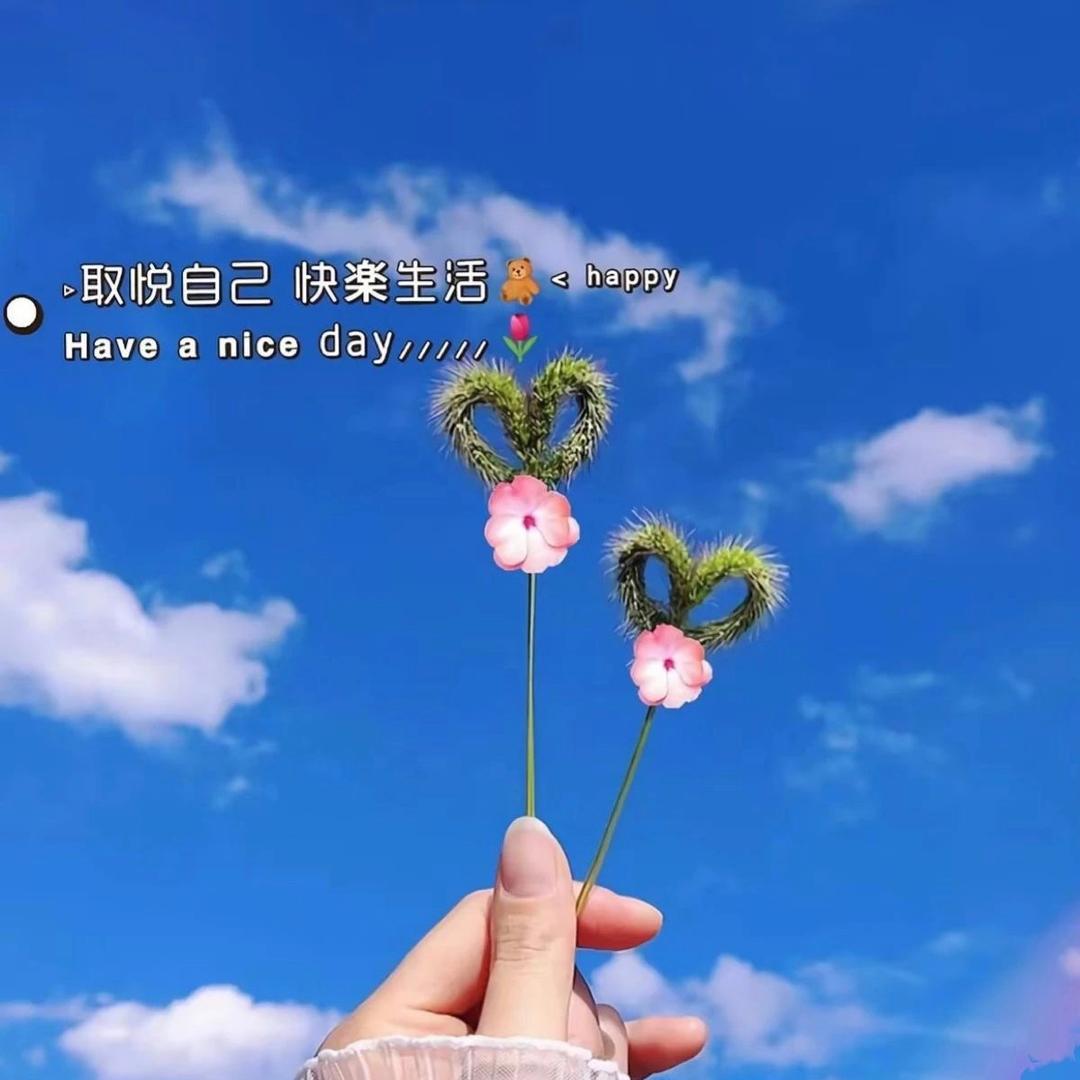 紫藤花