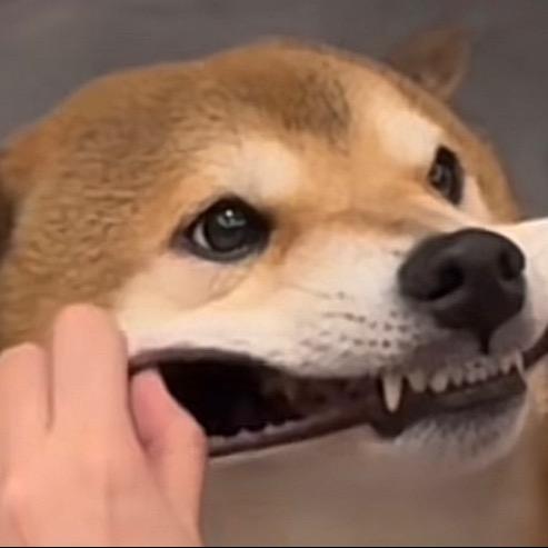 你要来俩花生米吗