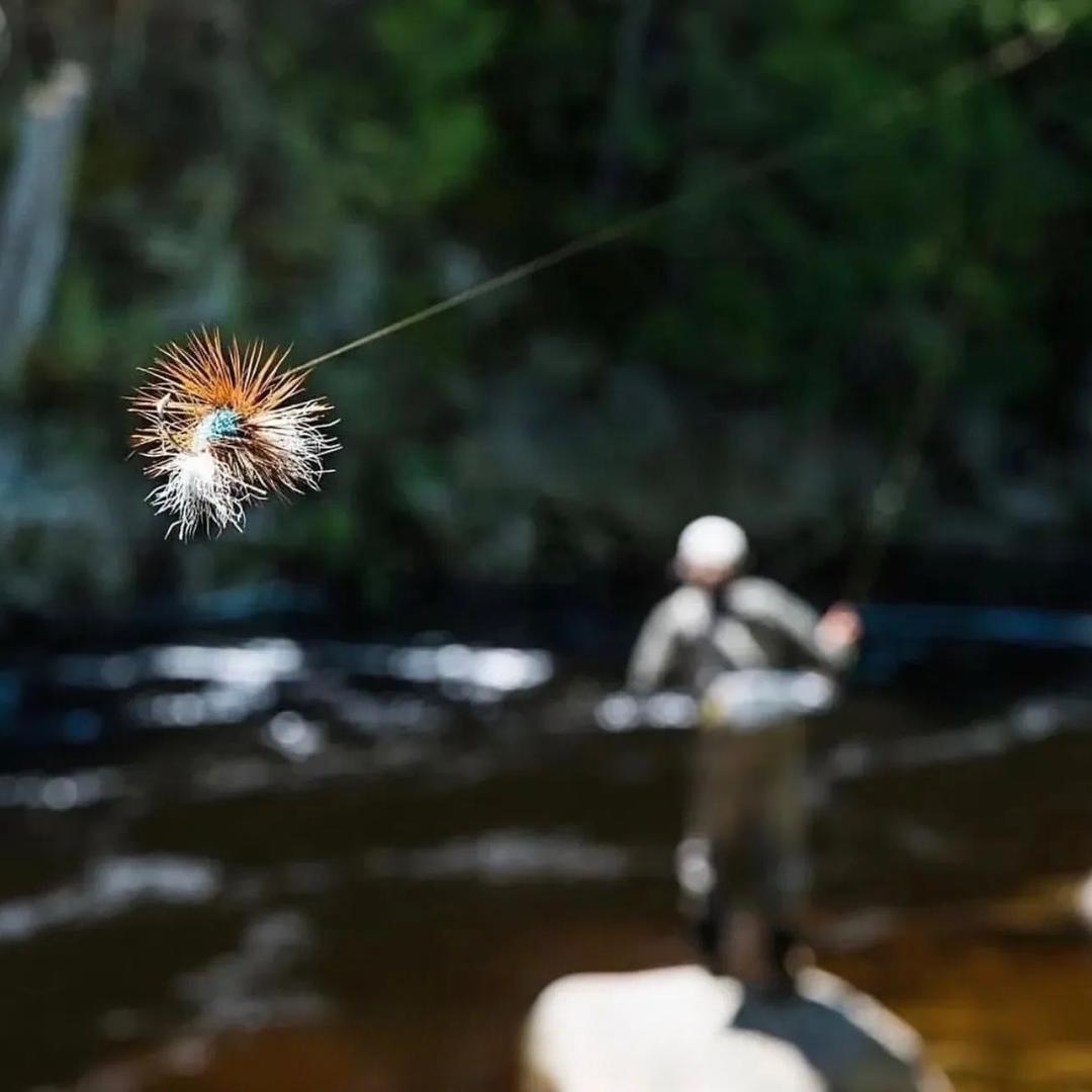 飞天无极钓🎣