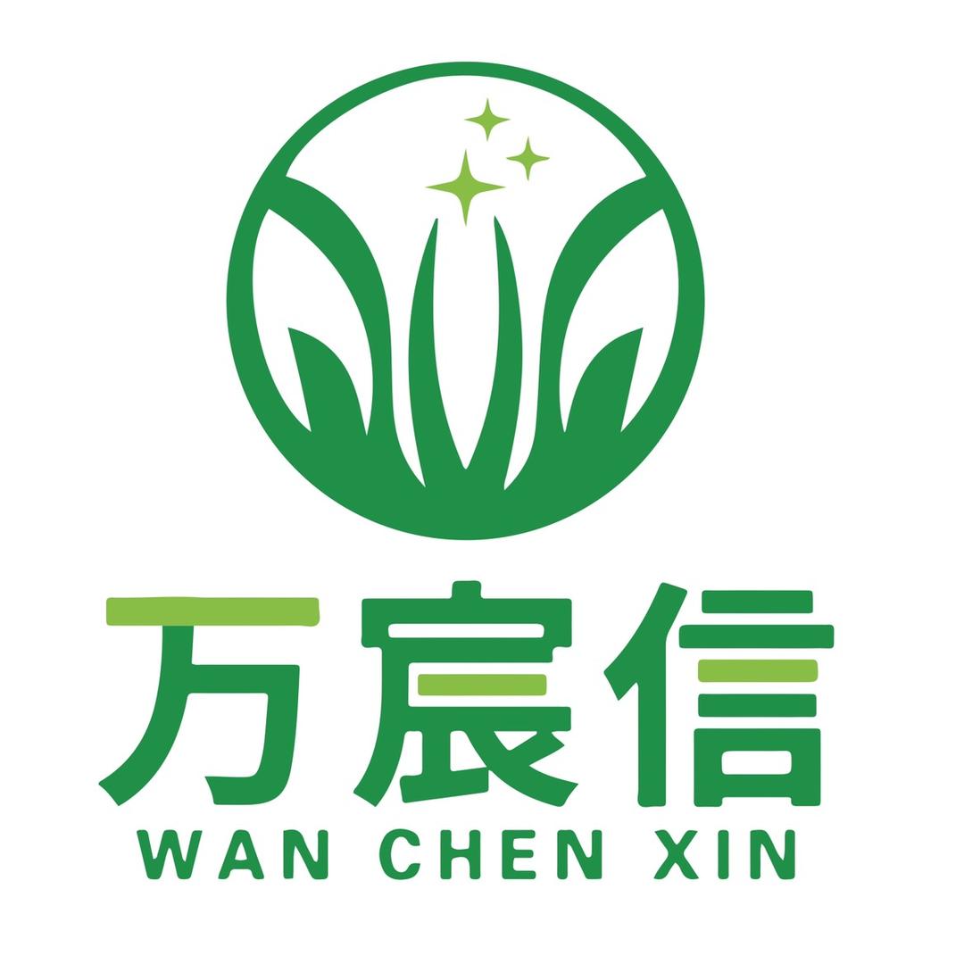 任丘市万宸仿真草坪