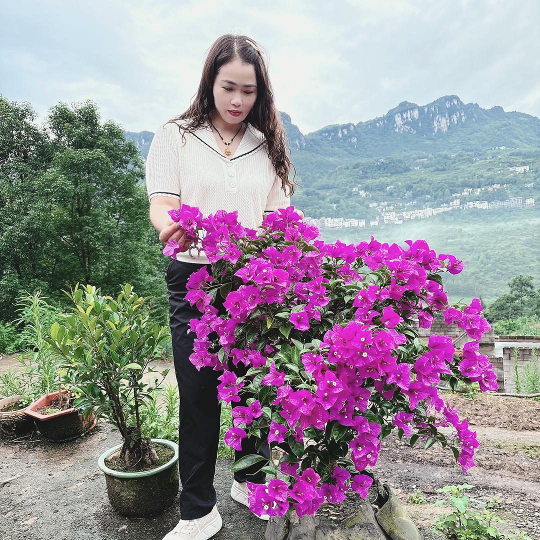 @小芳姐