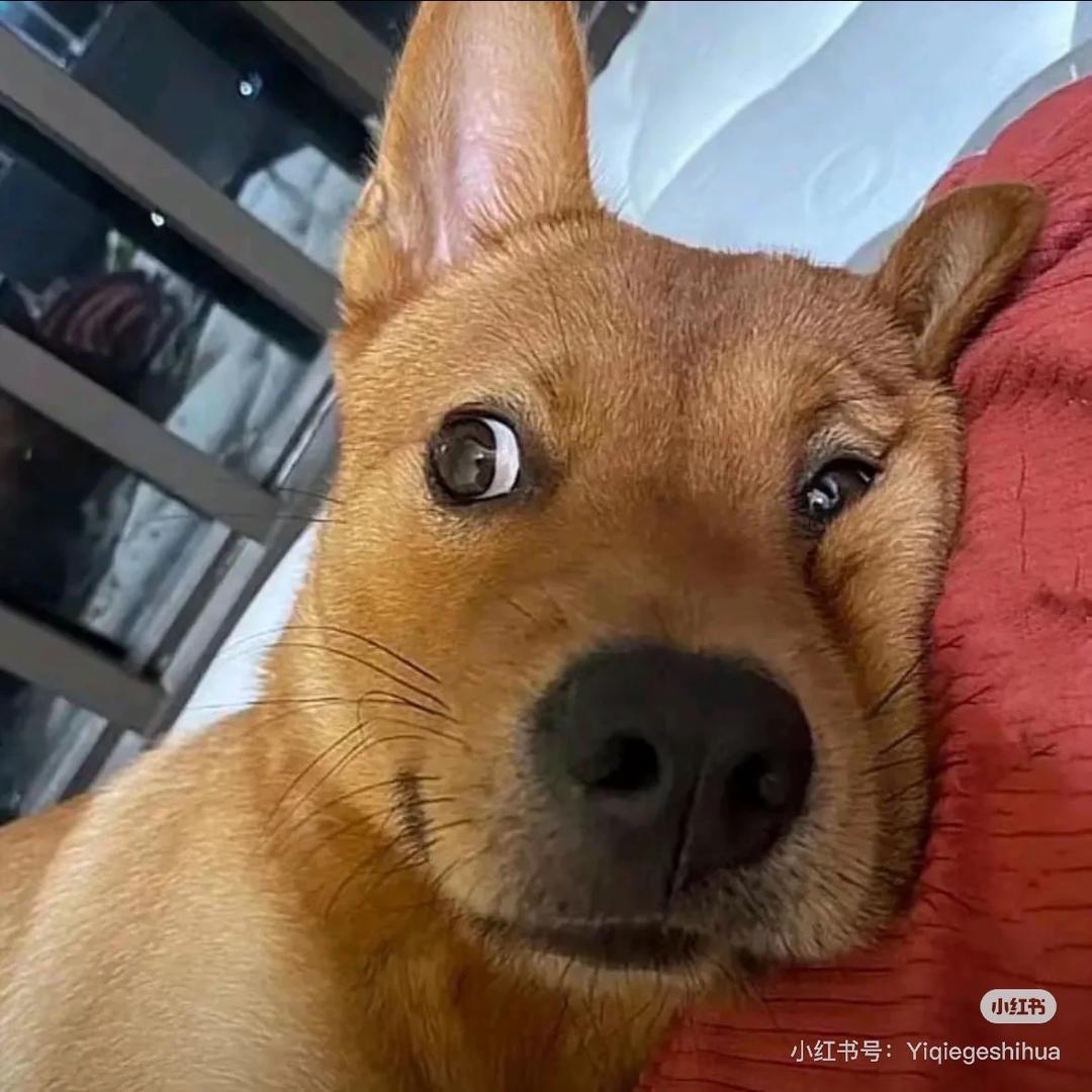 用户祎祎祎啊✨