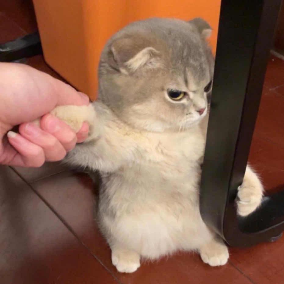 九色彩虹个体店